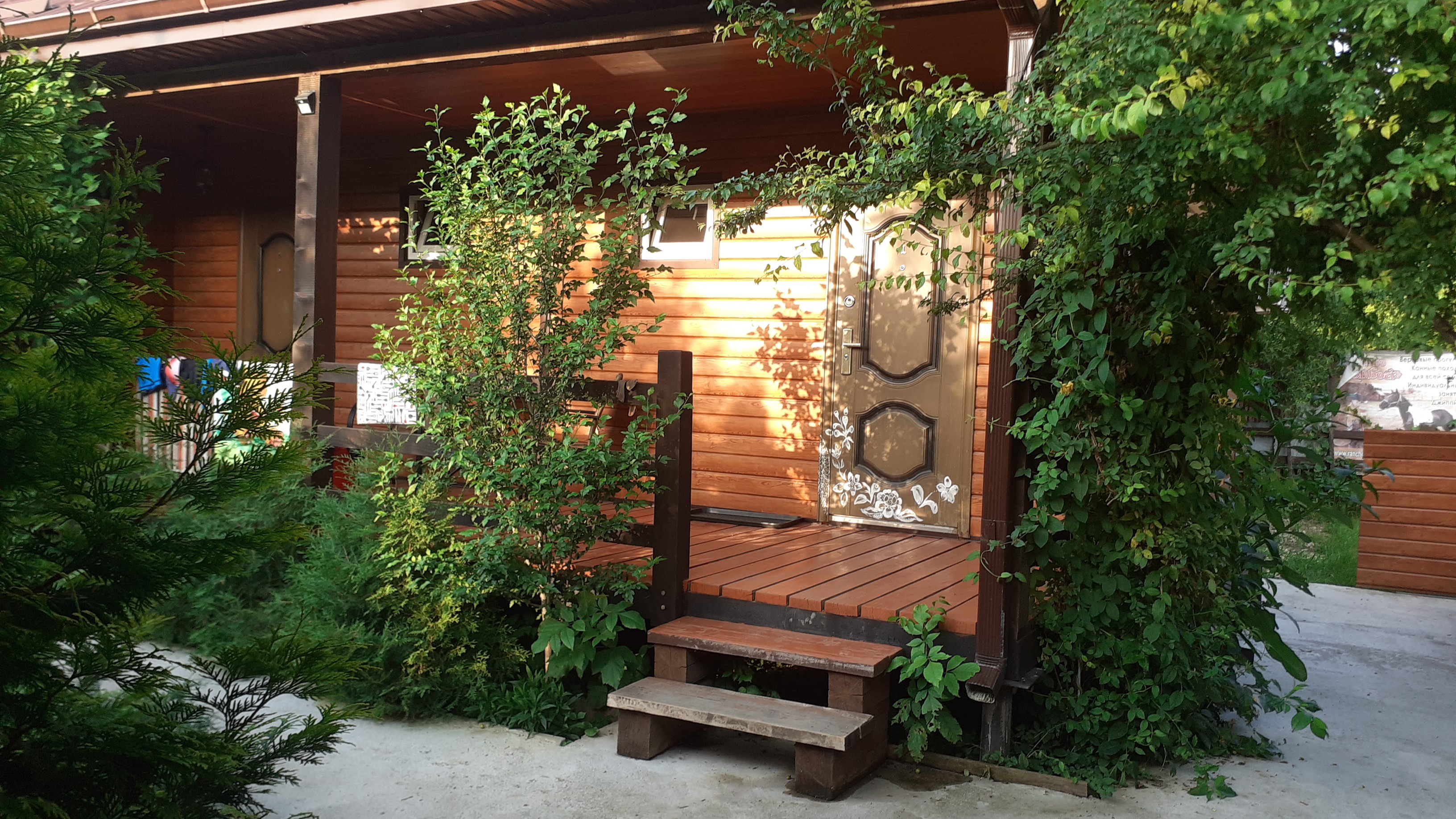 Фото Зелёный уголок