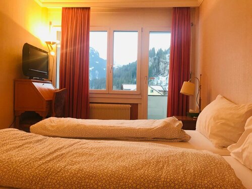 Гостиница Parkhotel Bellevue Lenk