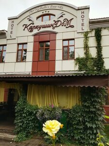 Каркушин Дом
