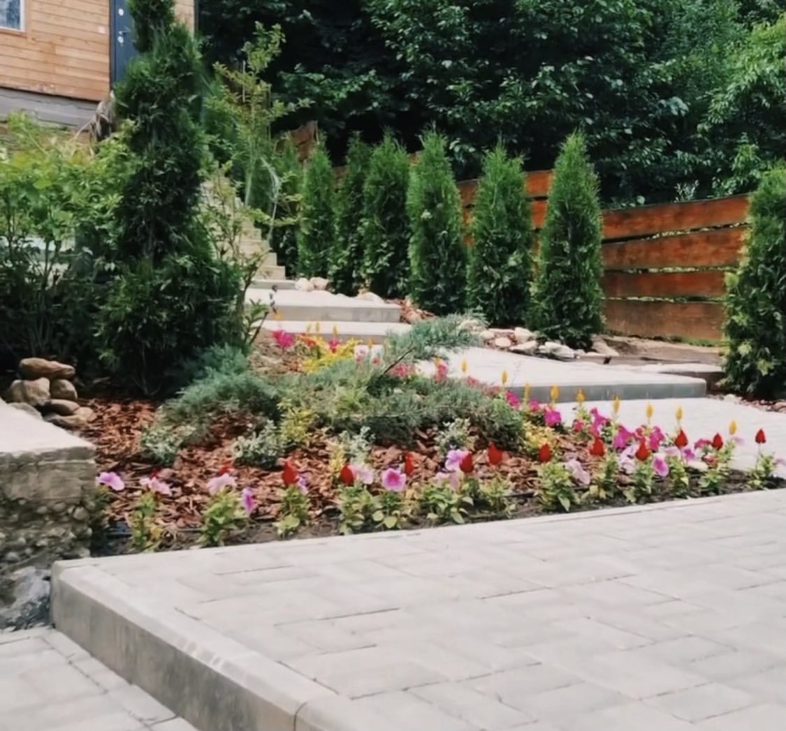 Фото Дом Совы