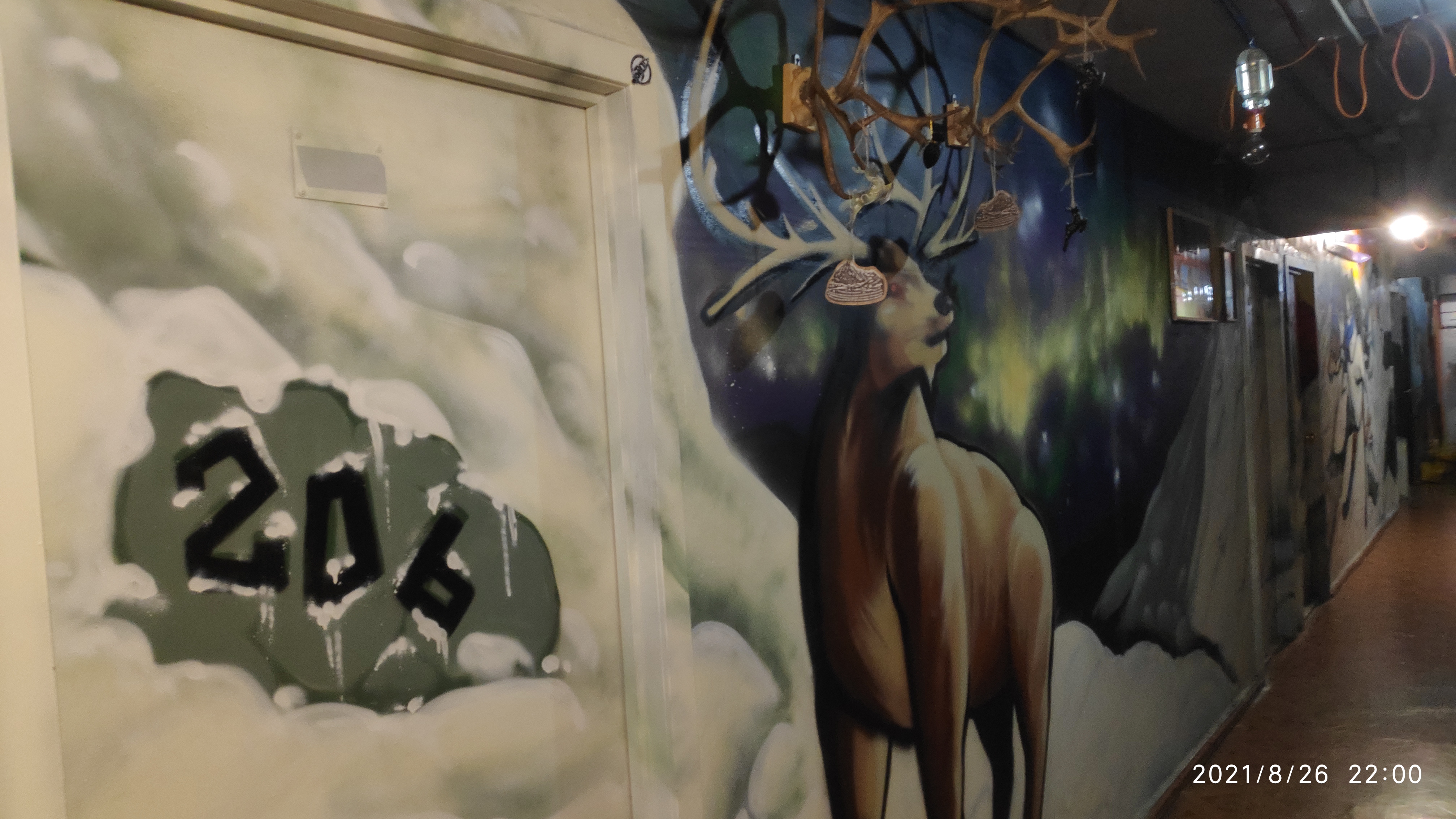 Фото Акка Книбекайзе