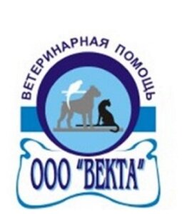 Логотип «Векта»