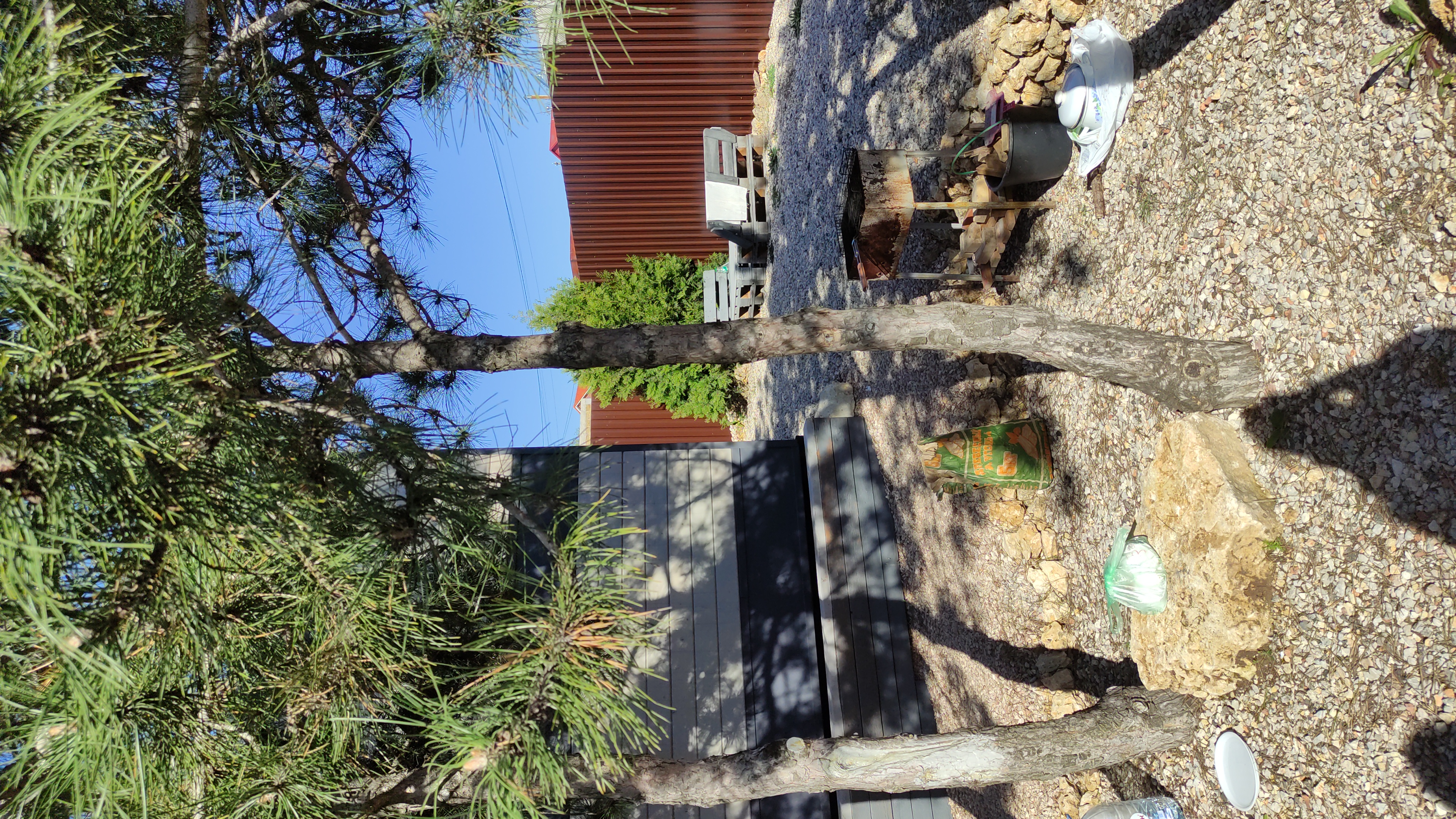 Фото ЁлкиХоум