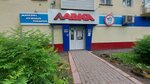 Лавка (prospekt Sovetskoy Armii, 17) ، محل بقالة