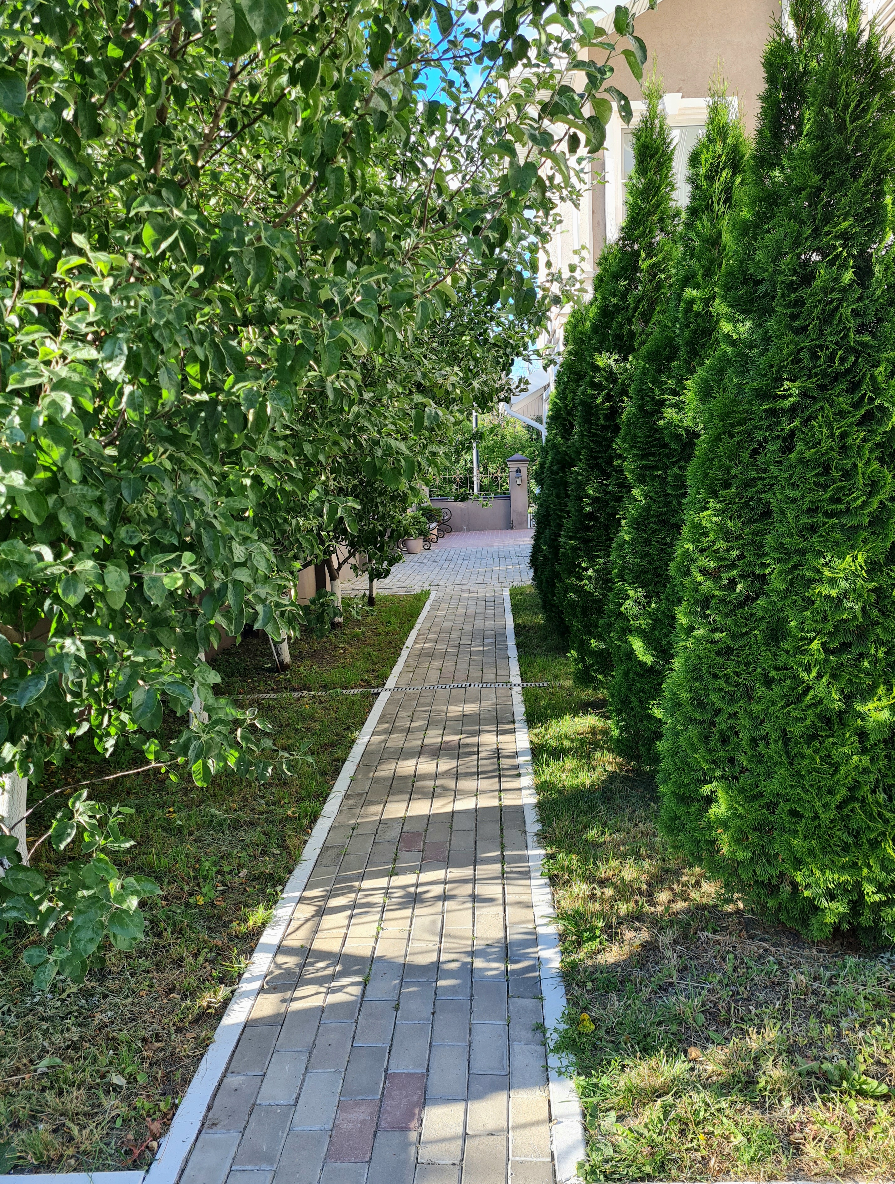 Фото Кремлёвский парк