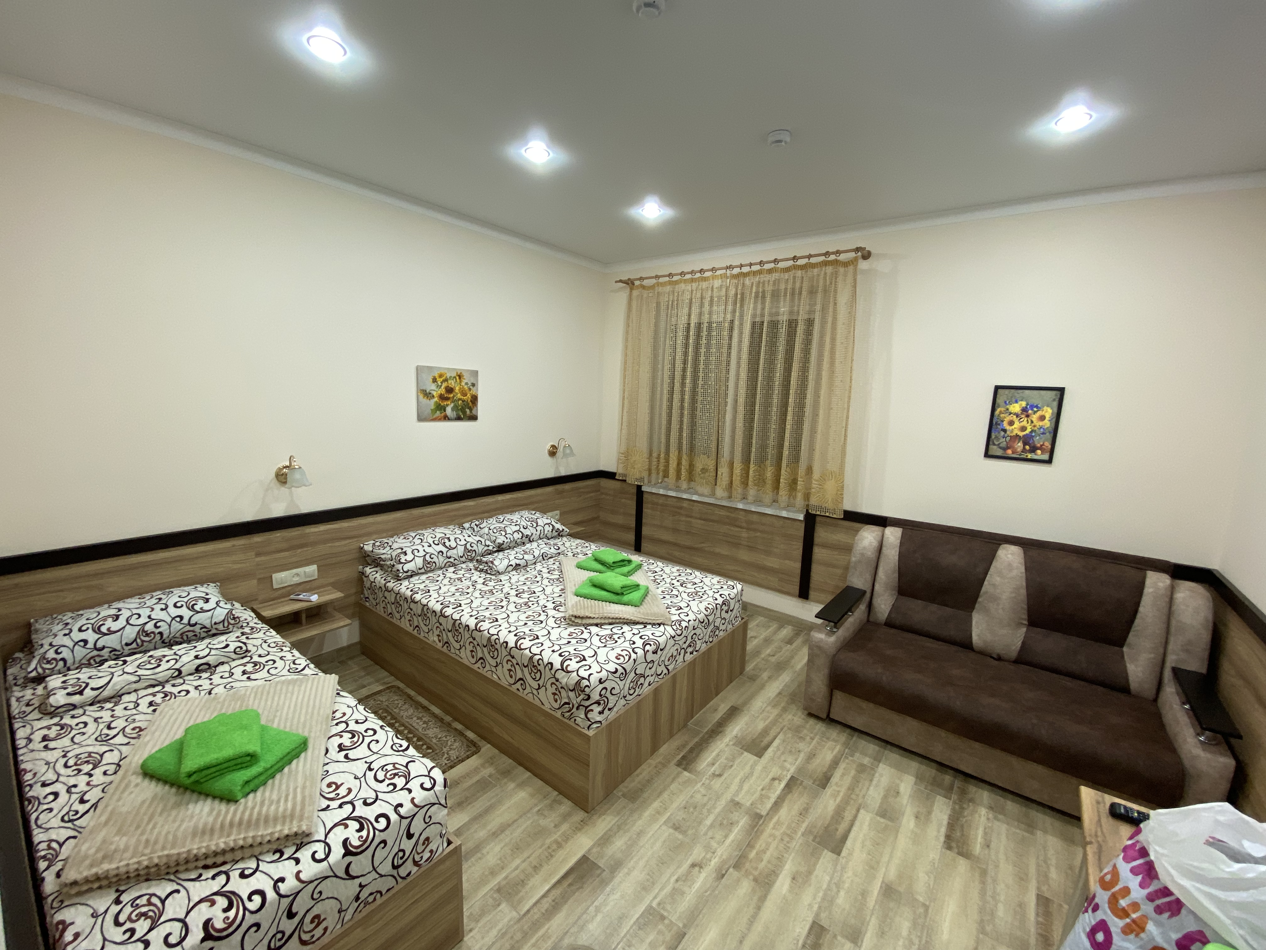 Фото Подсолнух