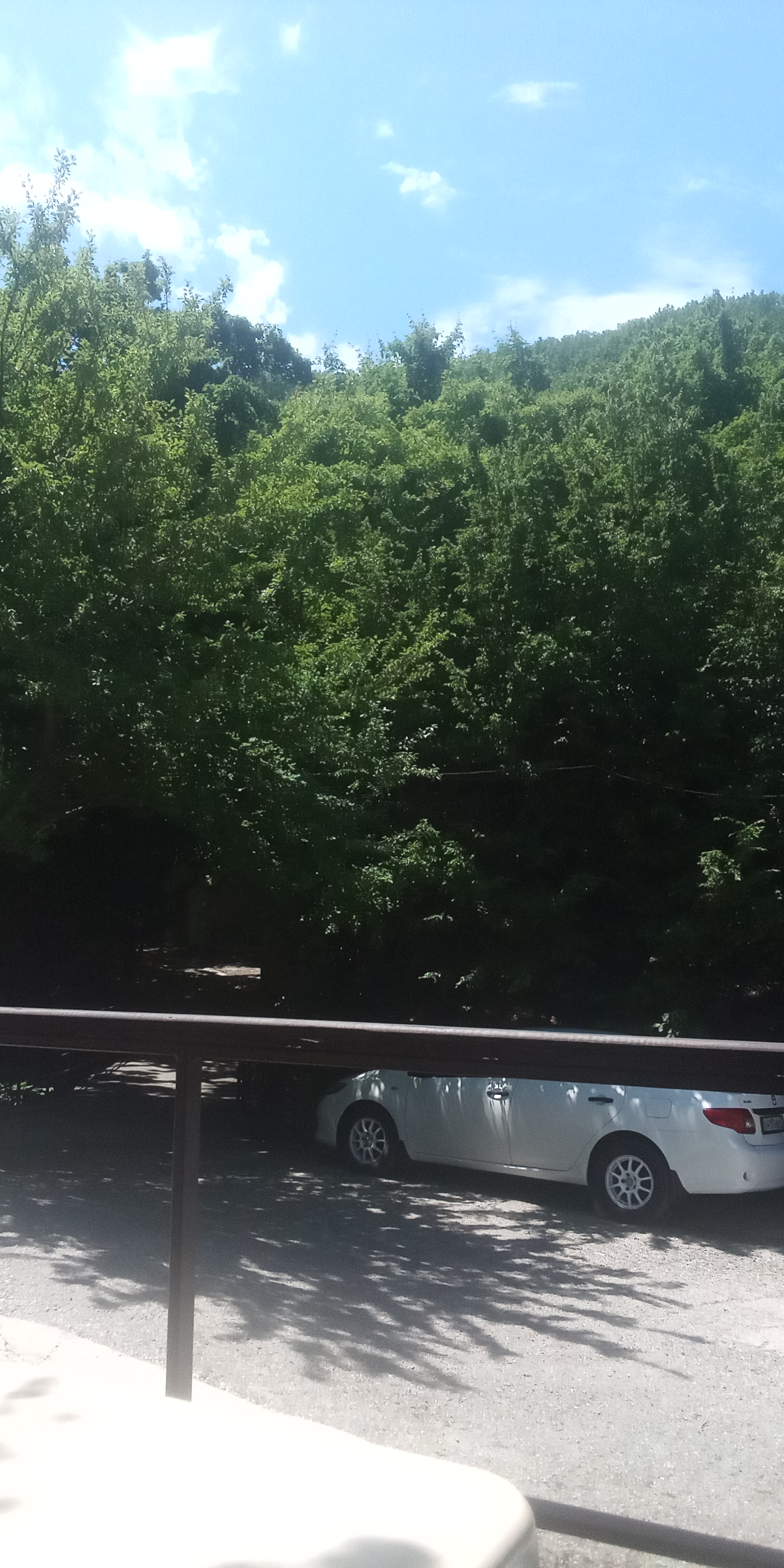 Фото Затерянный рай