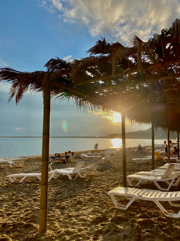 Фото Арбика