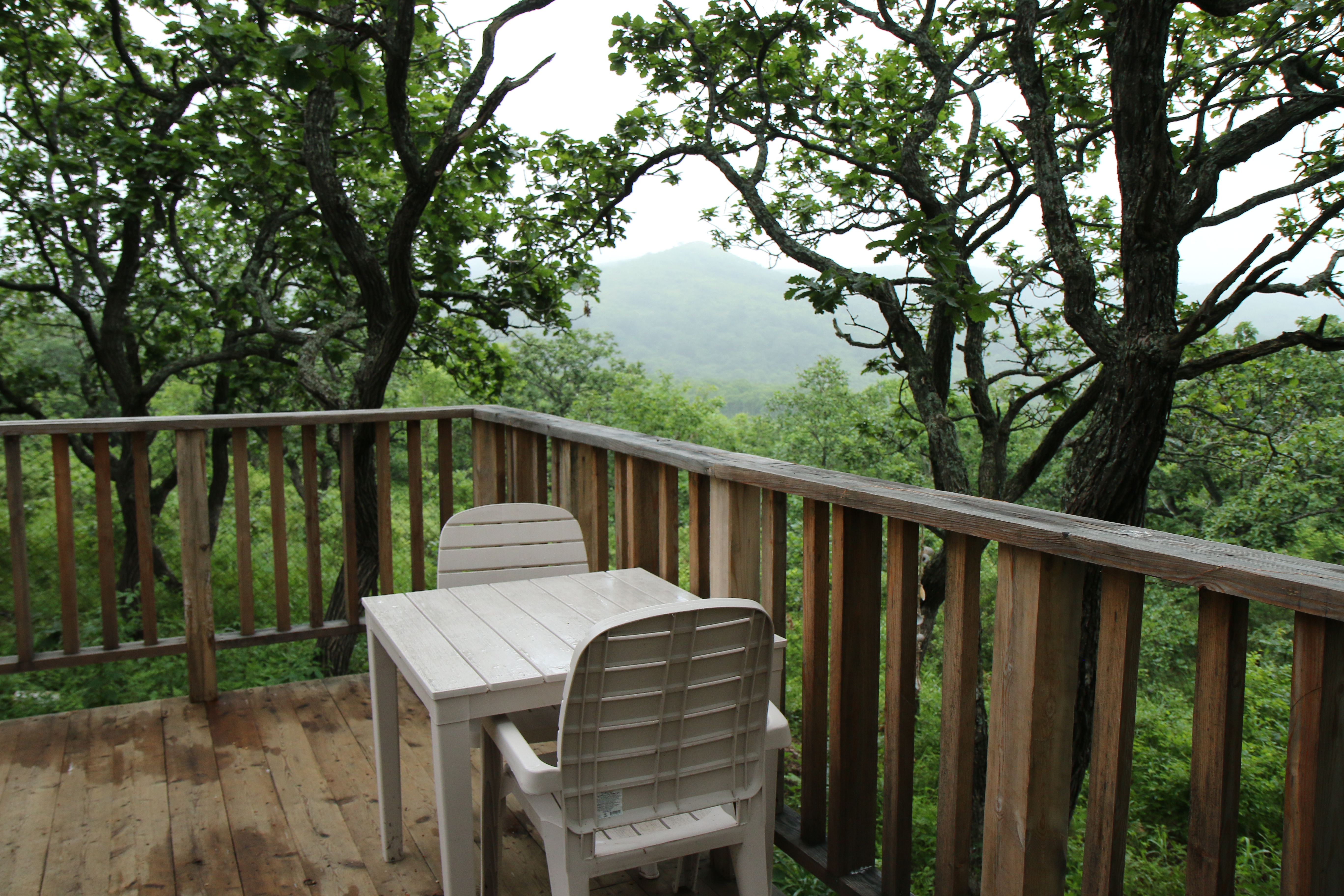 Фото Экопарк Бухта Астафьева