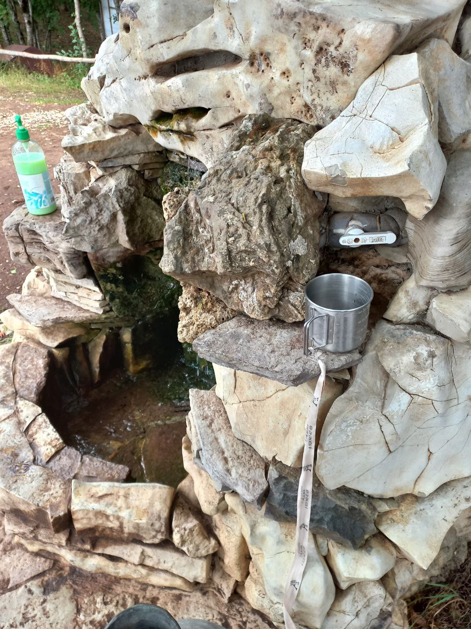 Фото КФХ Родник