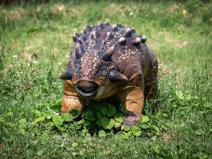 Фото Эко-отель Руза Фэмили парк