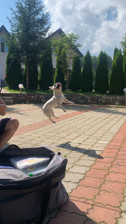 Фото Семейный дом