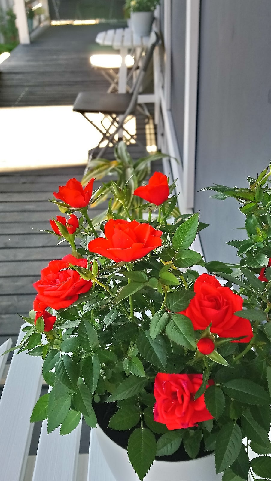 Фото Уютный Тихвин