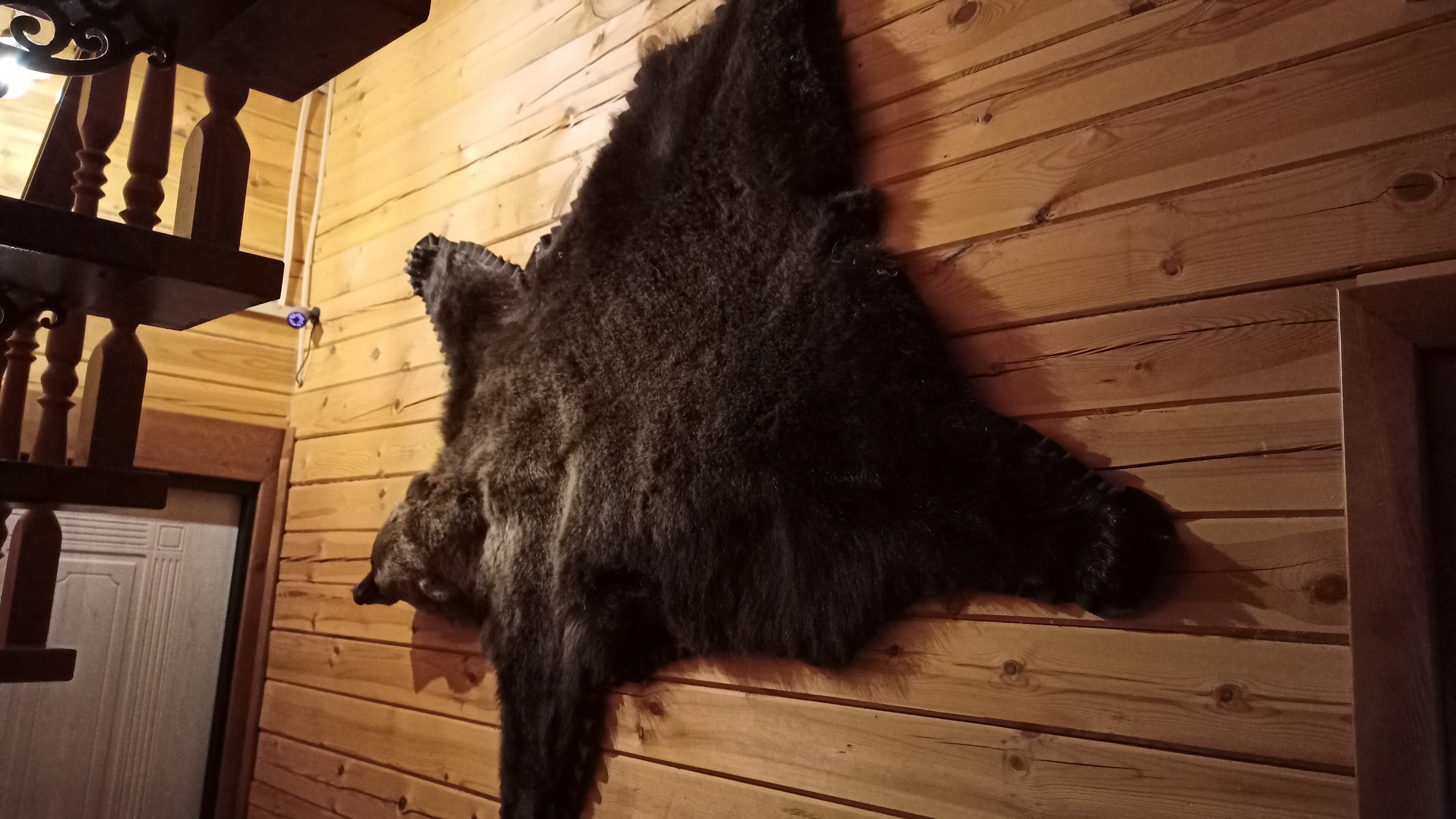 Фото БОР'ок