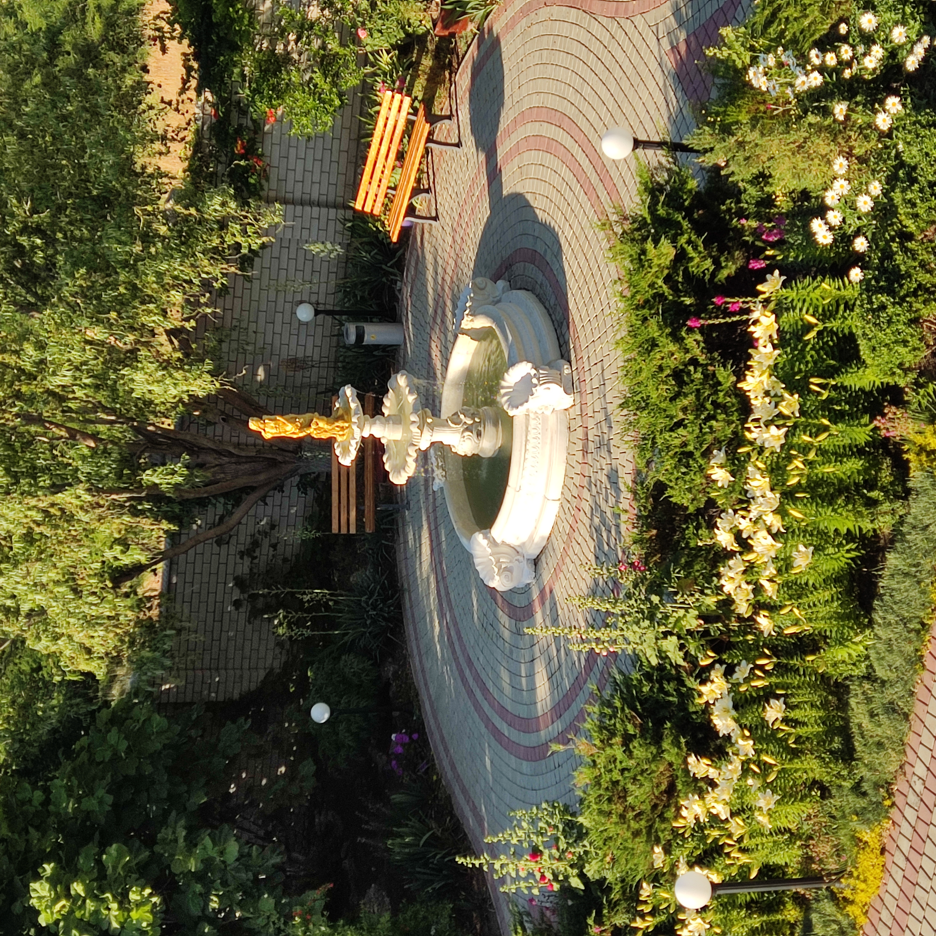 Фото Альбатрос