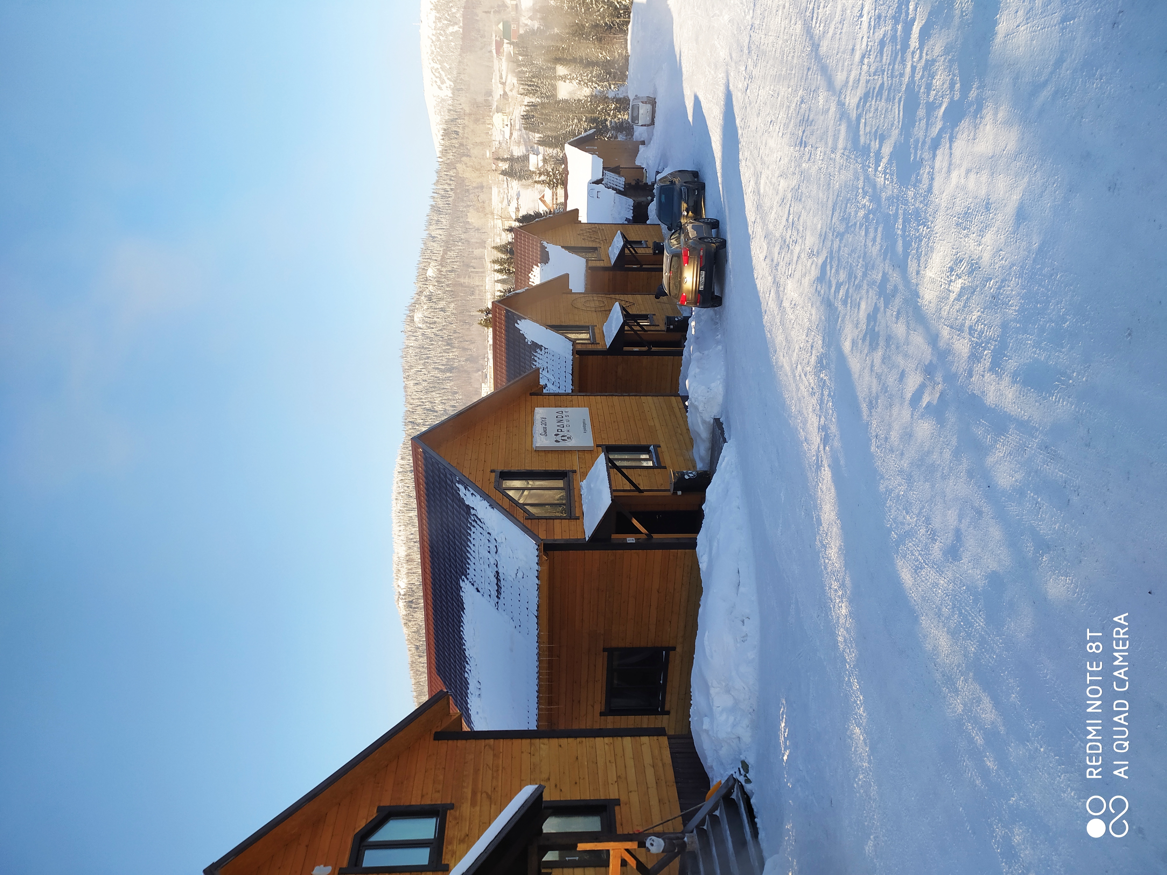 Фото Panda house