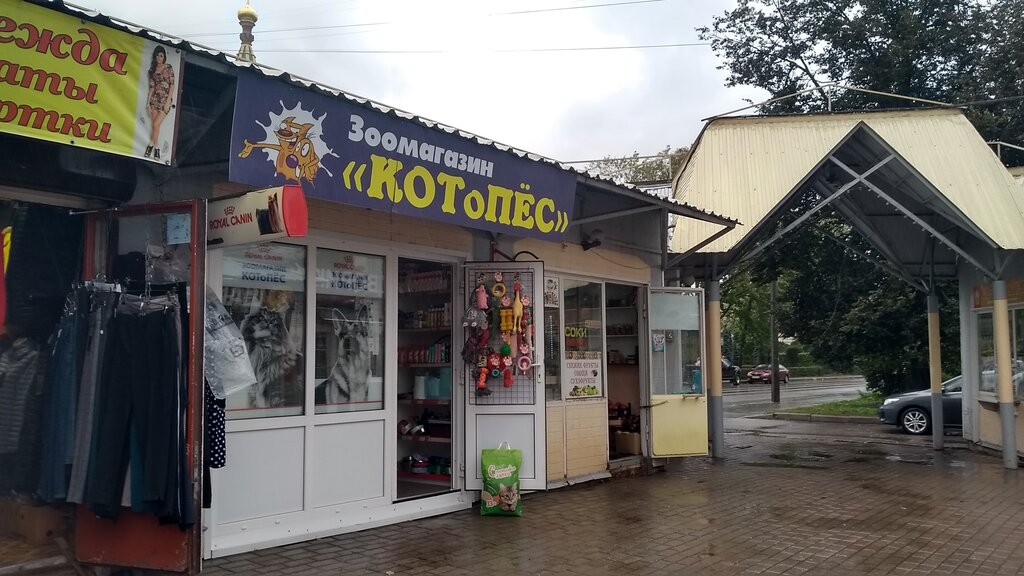 Pet shop Kotopes, Peterhof, photo