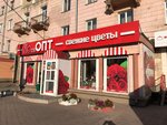 Flora Opt (Dzerzhinskogo Avenue, 7), flower shop