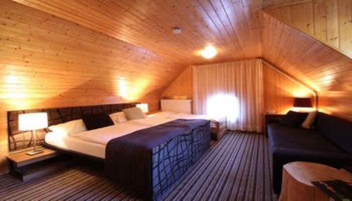 Фото Hotel & Garden U Holubů