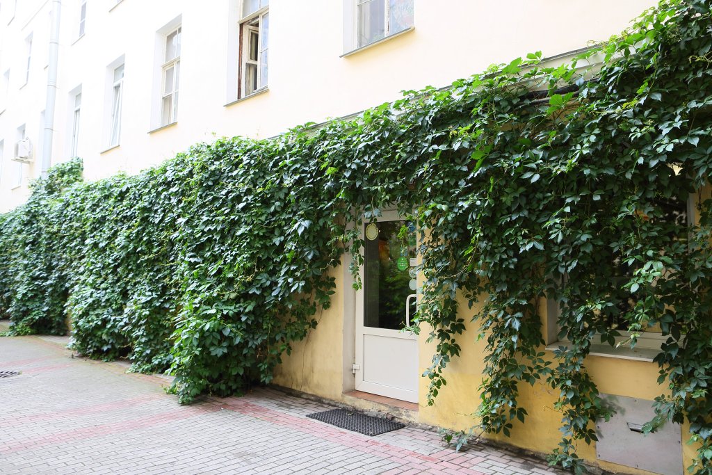 Фото Невский Маяк