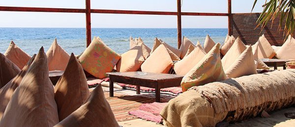 Фото Shams Hotel & Dive Centre