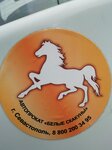 Logotipo