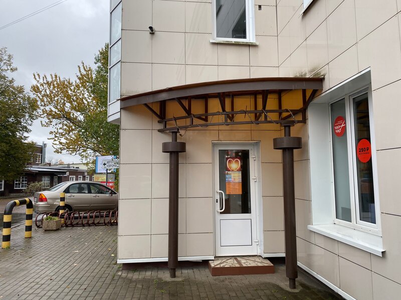 Шашты киска сұлулығының фотосы