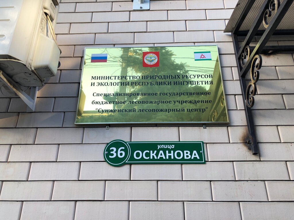 إدارة الغابات، إعادة التشجير Специализированное государственное бюджетное лесопожарное учреждение Сунженский лесопожарный центр ، ، صورة