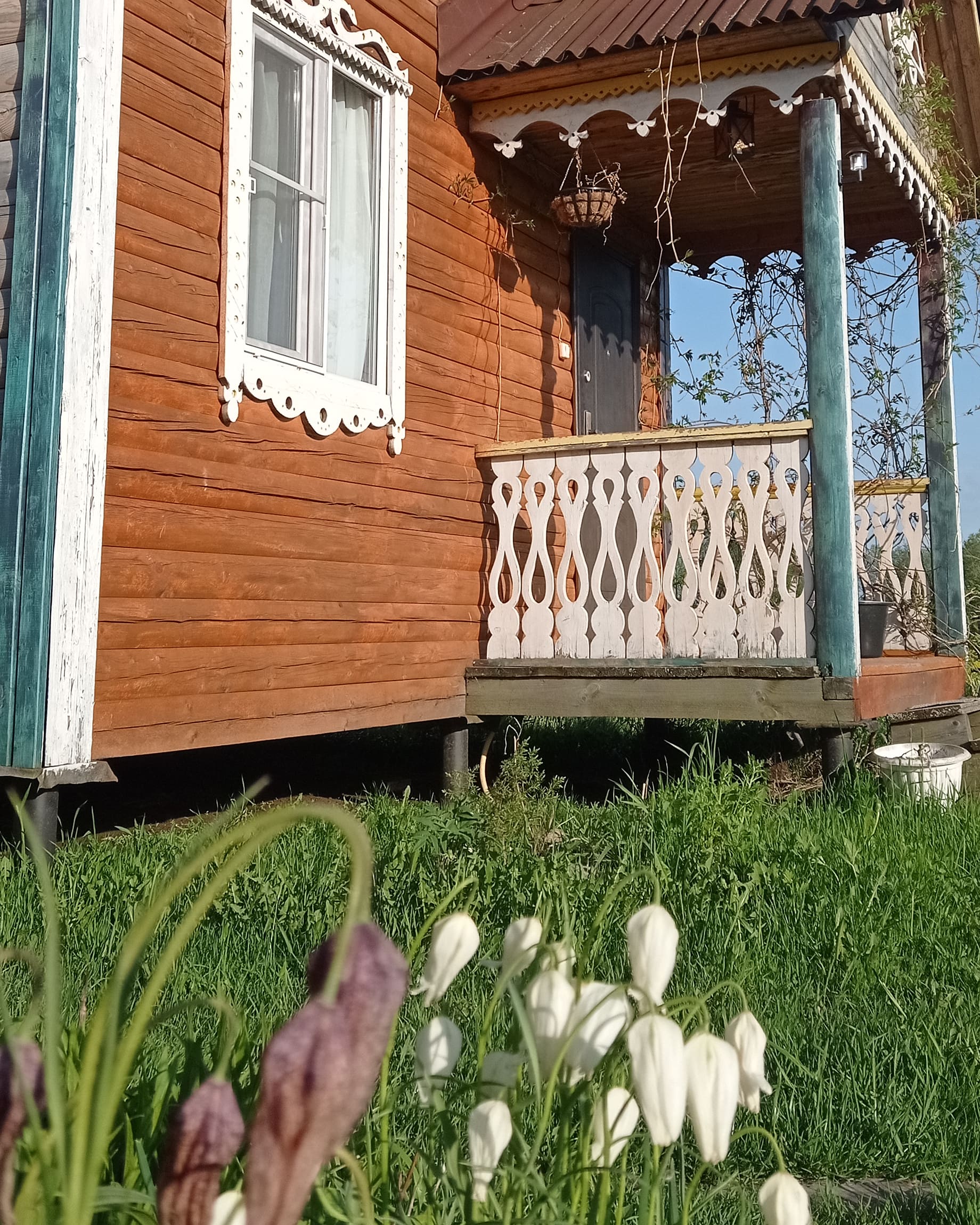 Фото Гостевой дом у Румянцевых