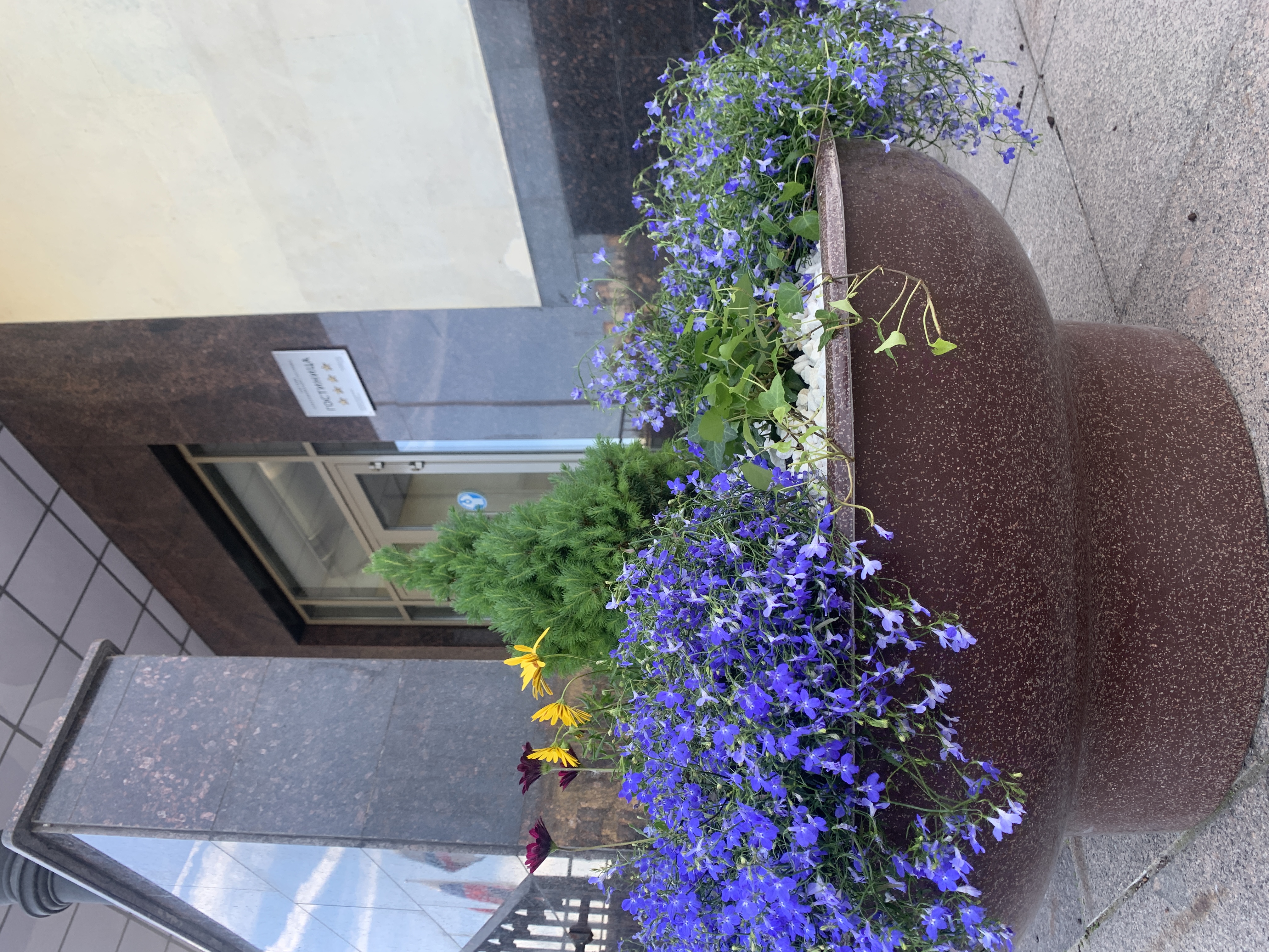 Фото Таврическая