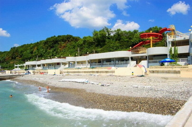 Фото Бамбучок