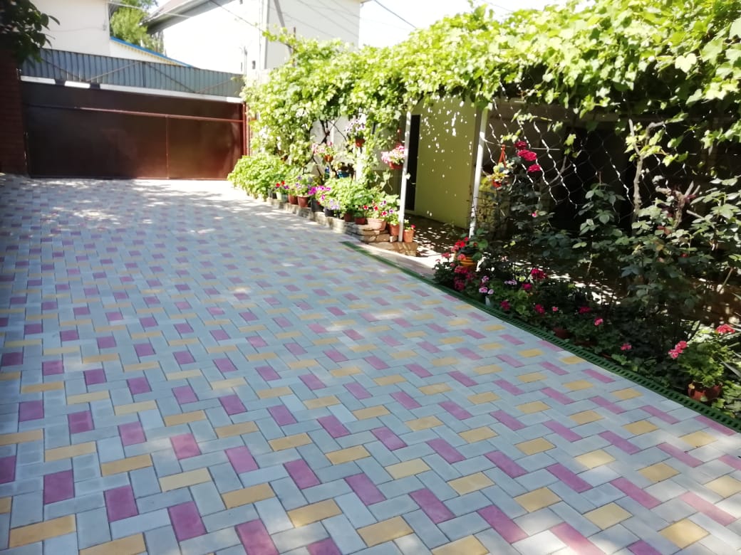 Фото Черноморская лоза