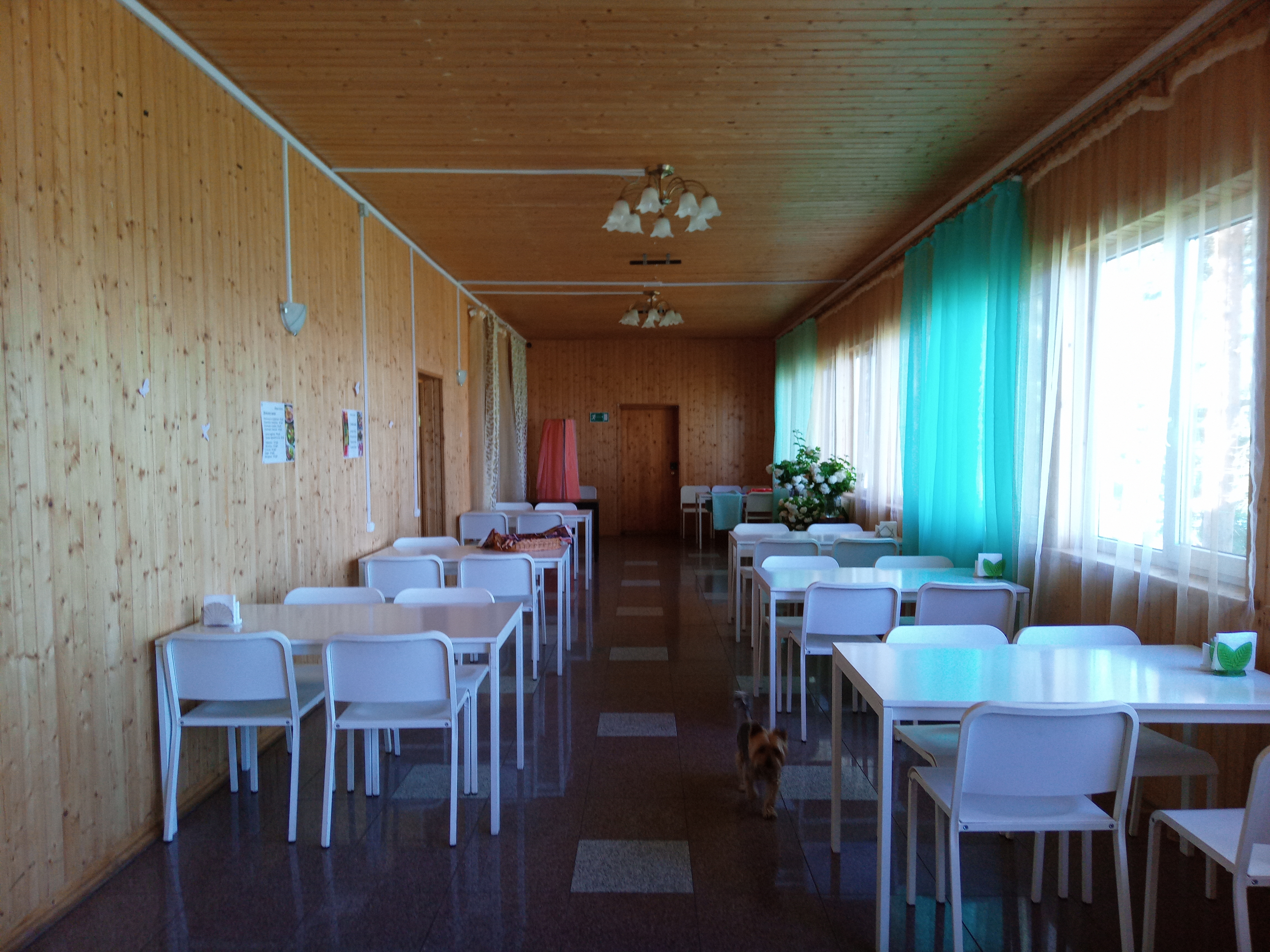 Фото Макслахти