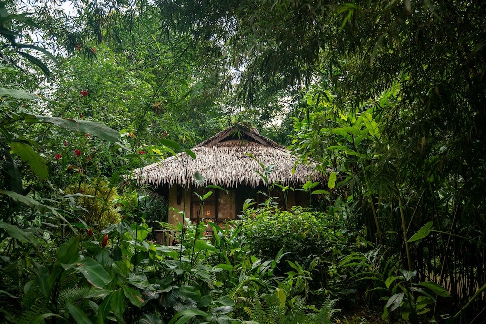 Фото Our Jungle Camp - Eco Resort