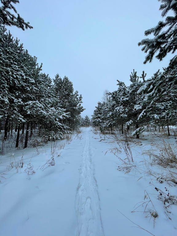 Фото Petra eco village