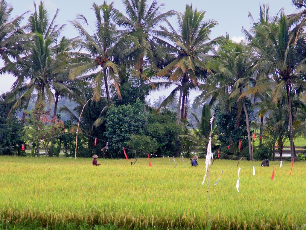 Фото Villa Pantulan Bali