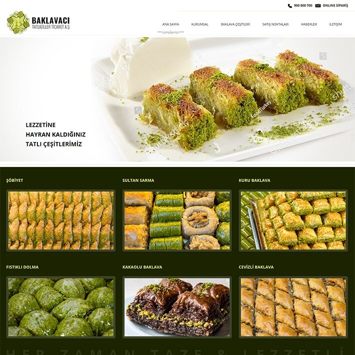Web design studio Cosmos Web Design, Iskenderun, photo