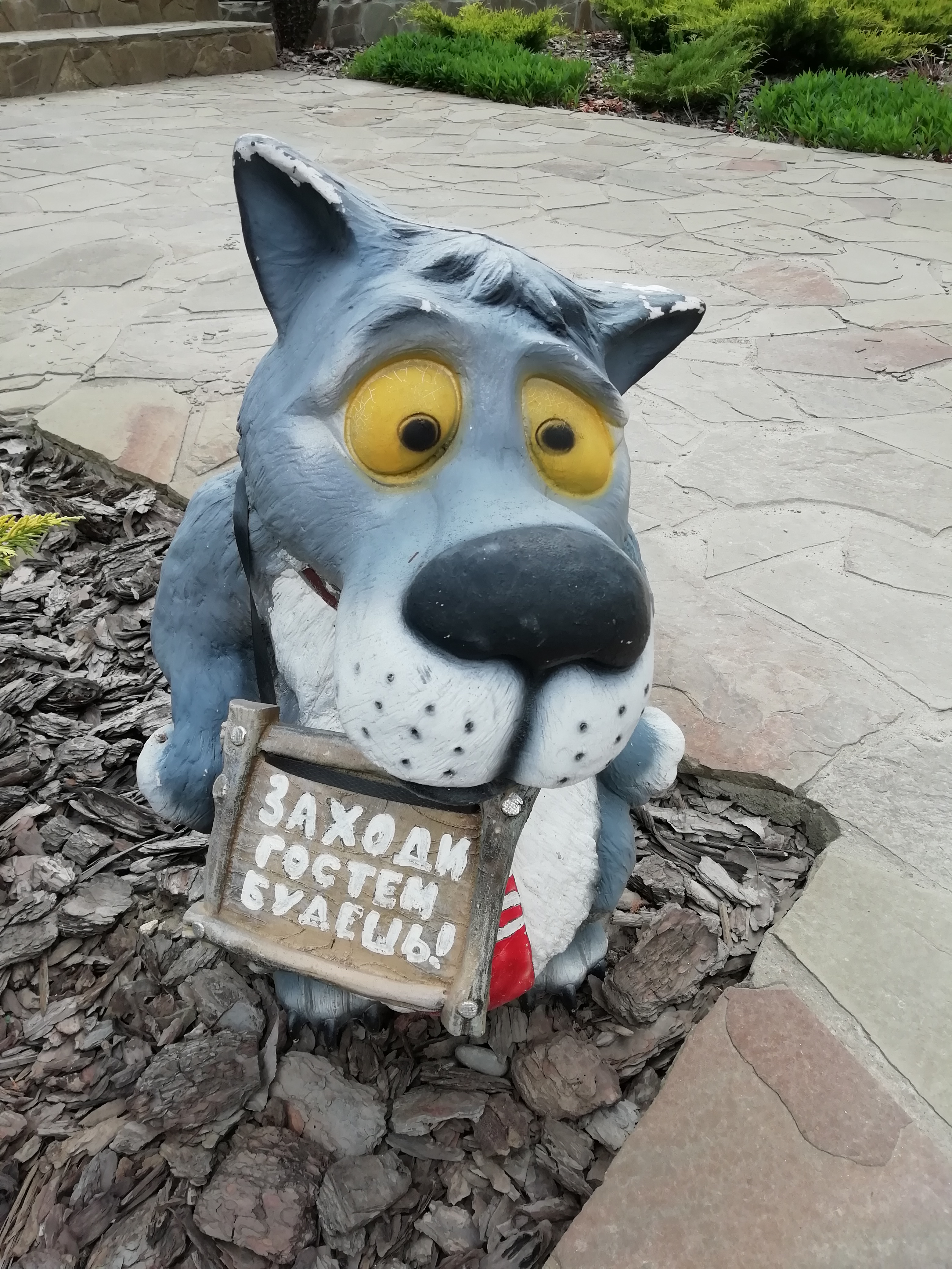 Фото Отдых у реки