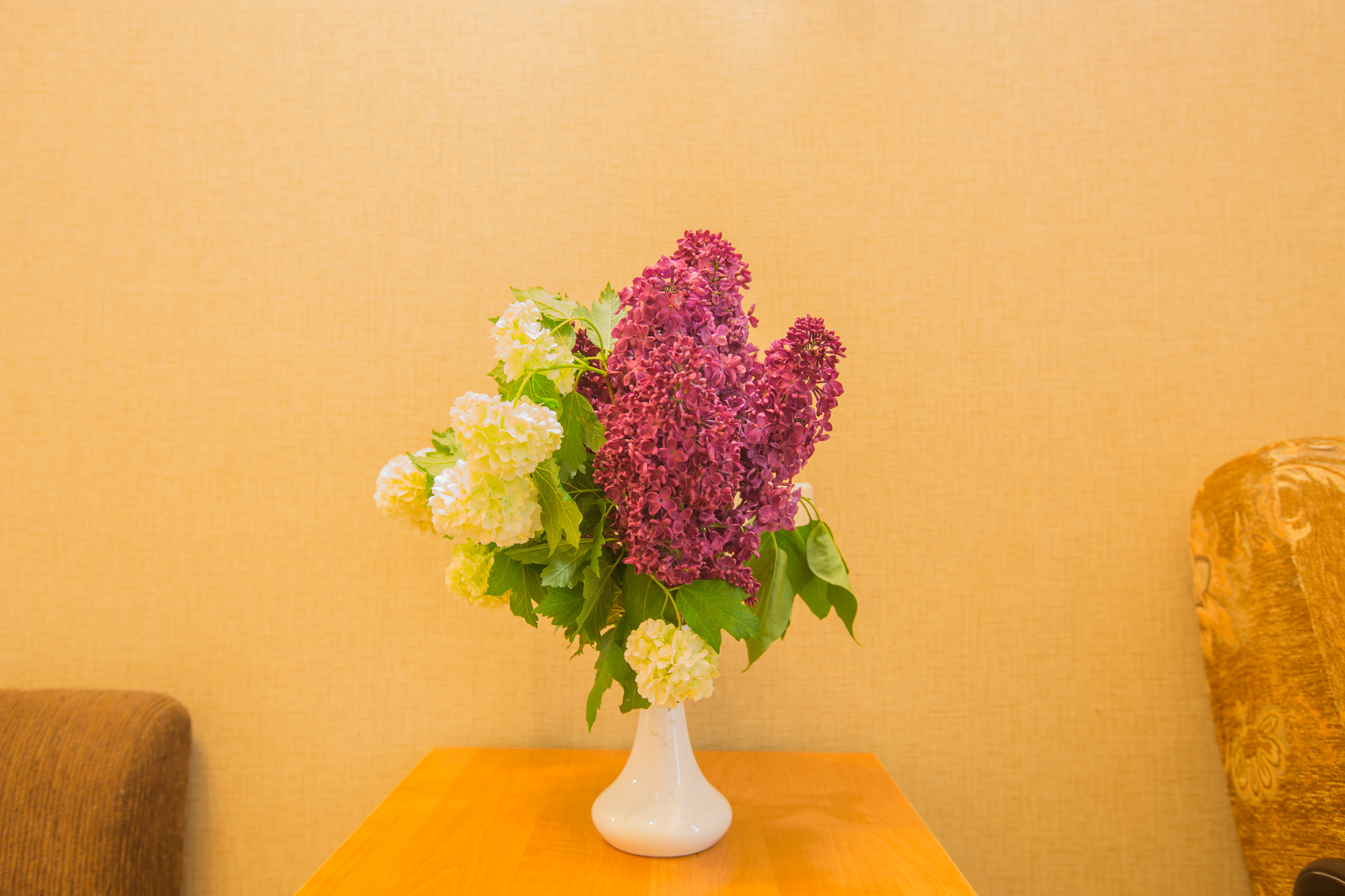 Фото Восторг