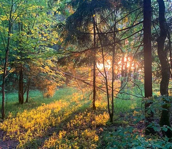 Фото Тундра Хаус Степаново