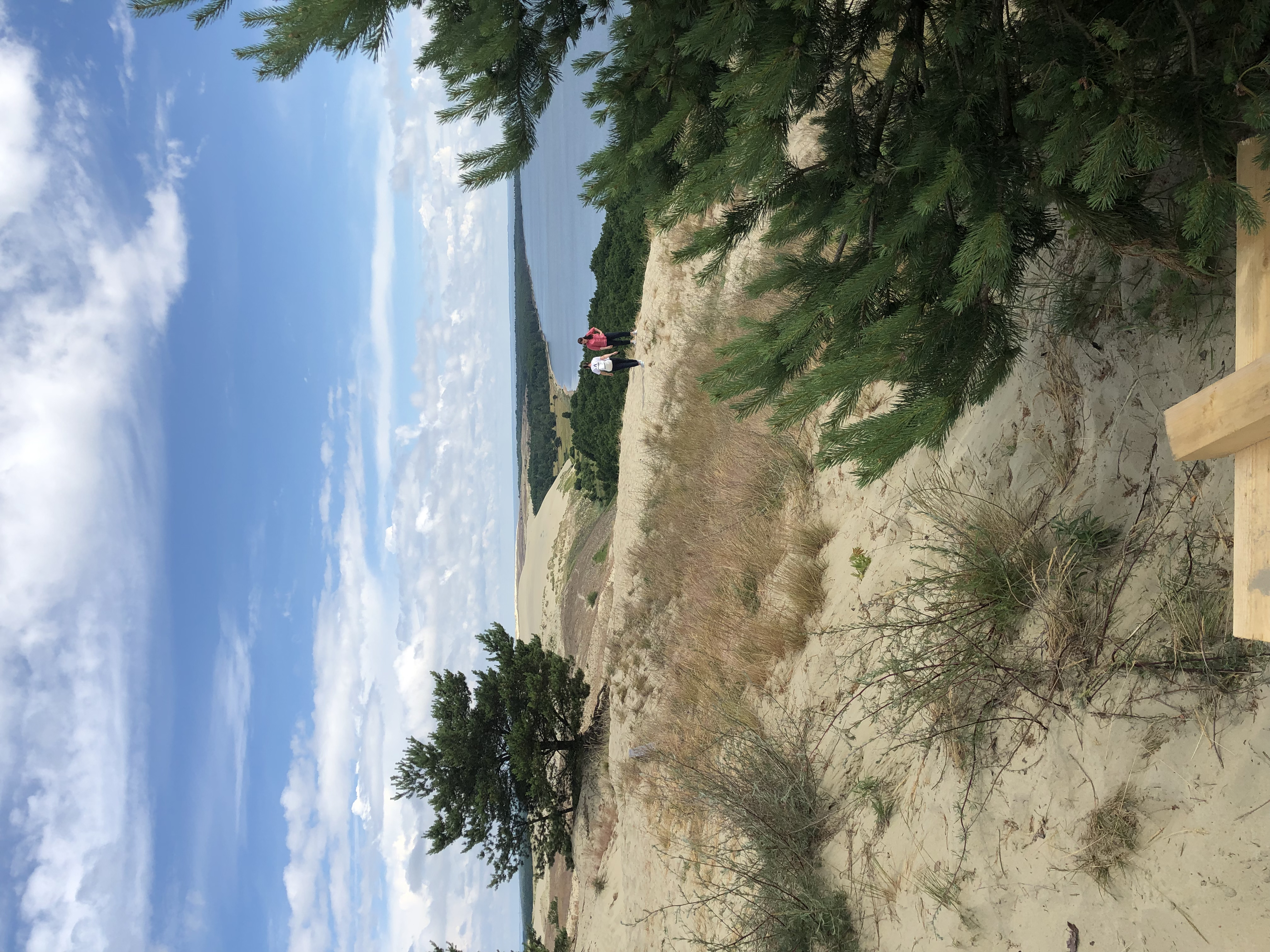 Фото Понарт