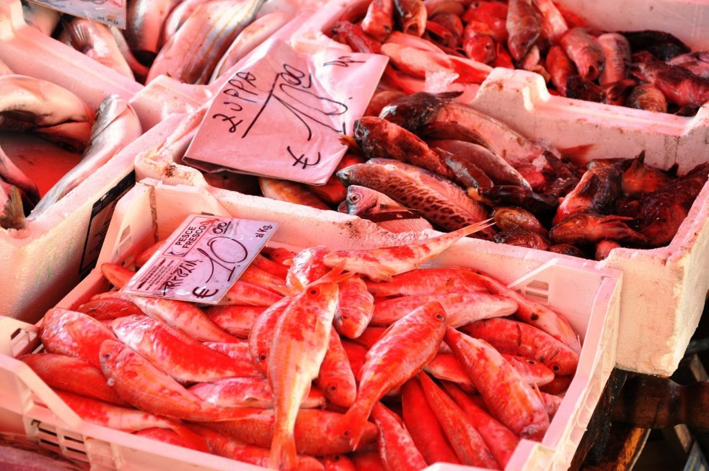 Фото B&b MaryJosè