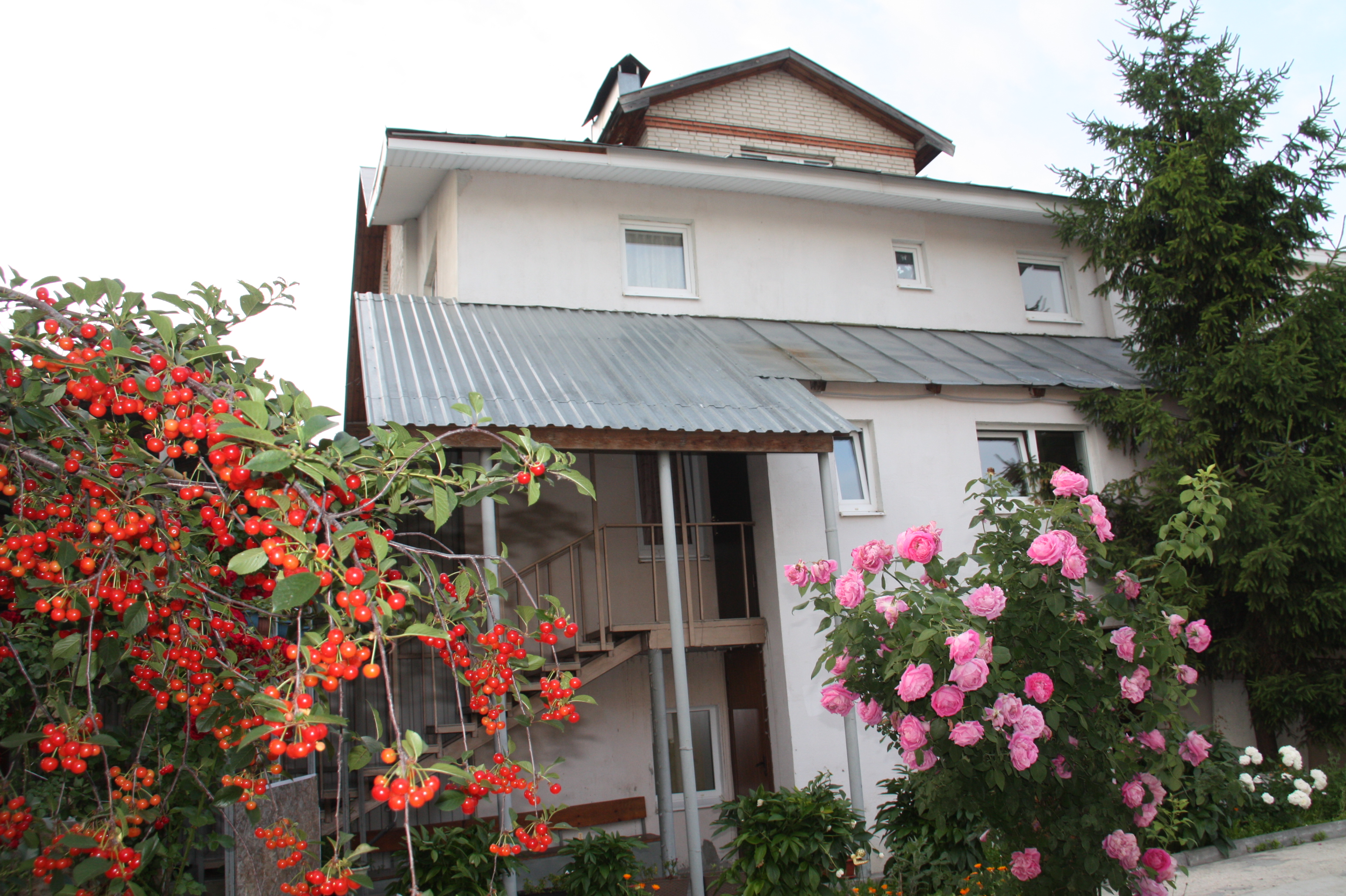 Фото Тамбовская 19