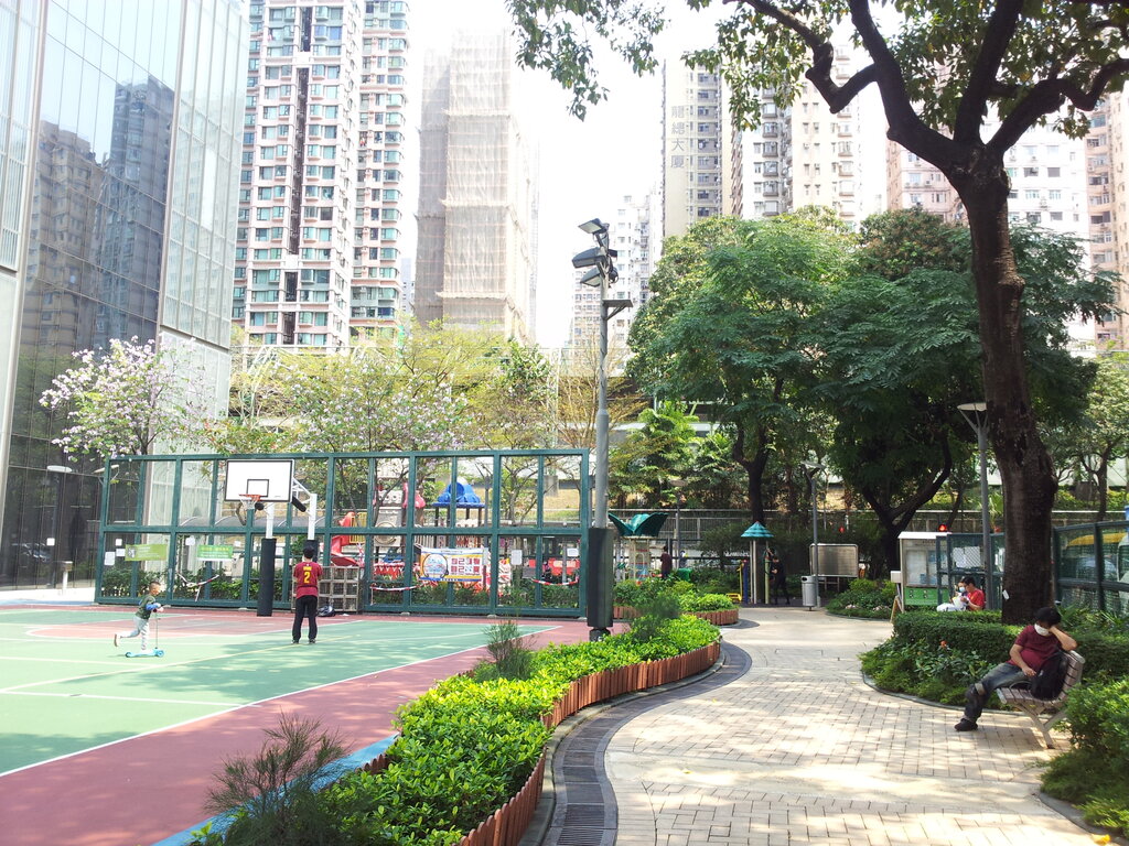 Sports ground Macpherson Playground, Kowloon, photo