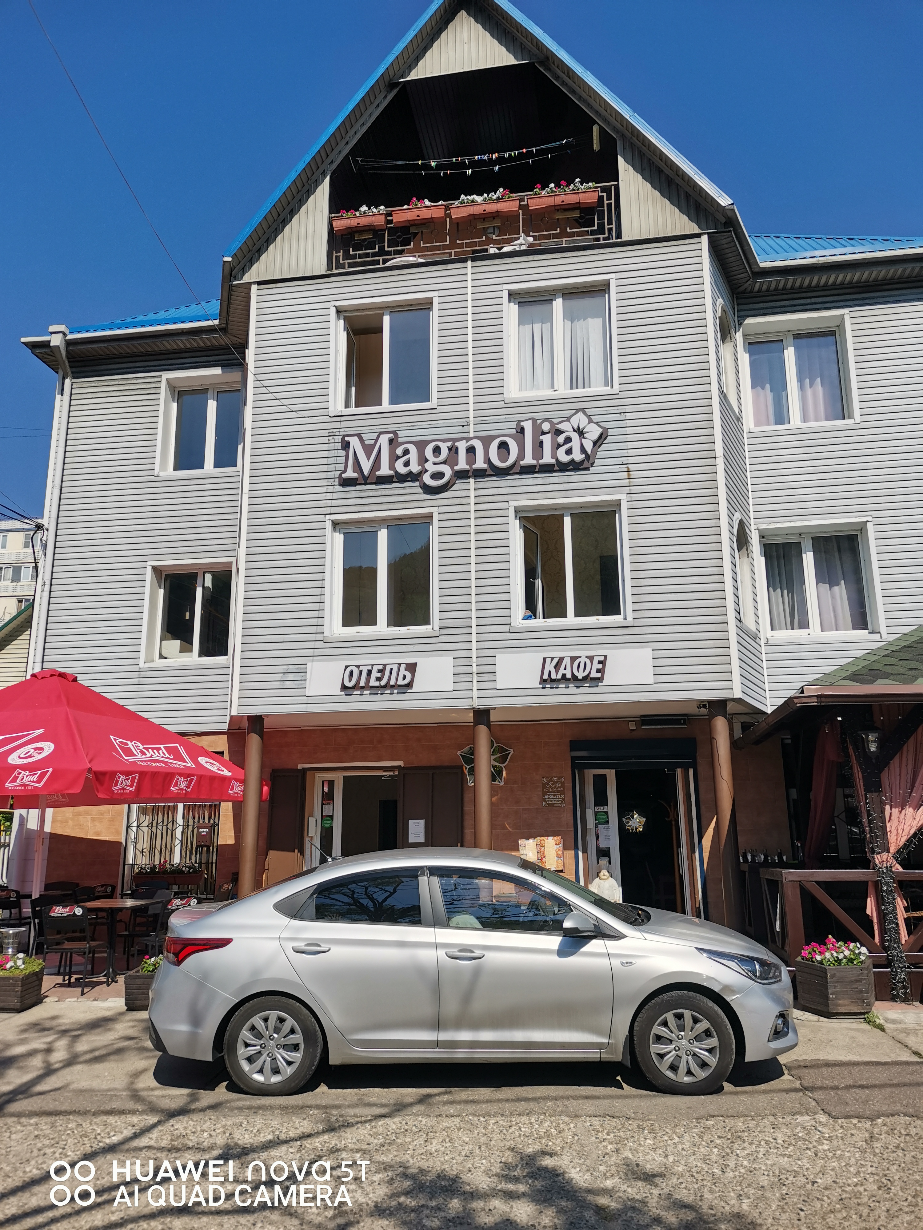 Фото Магнолия