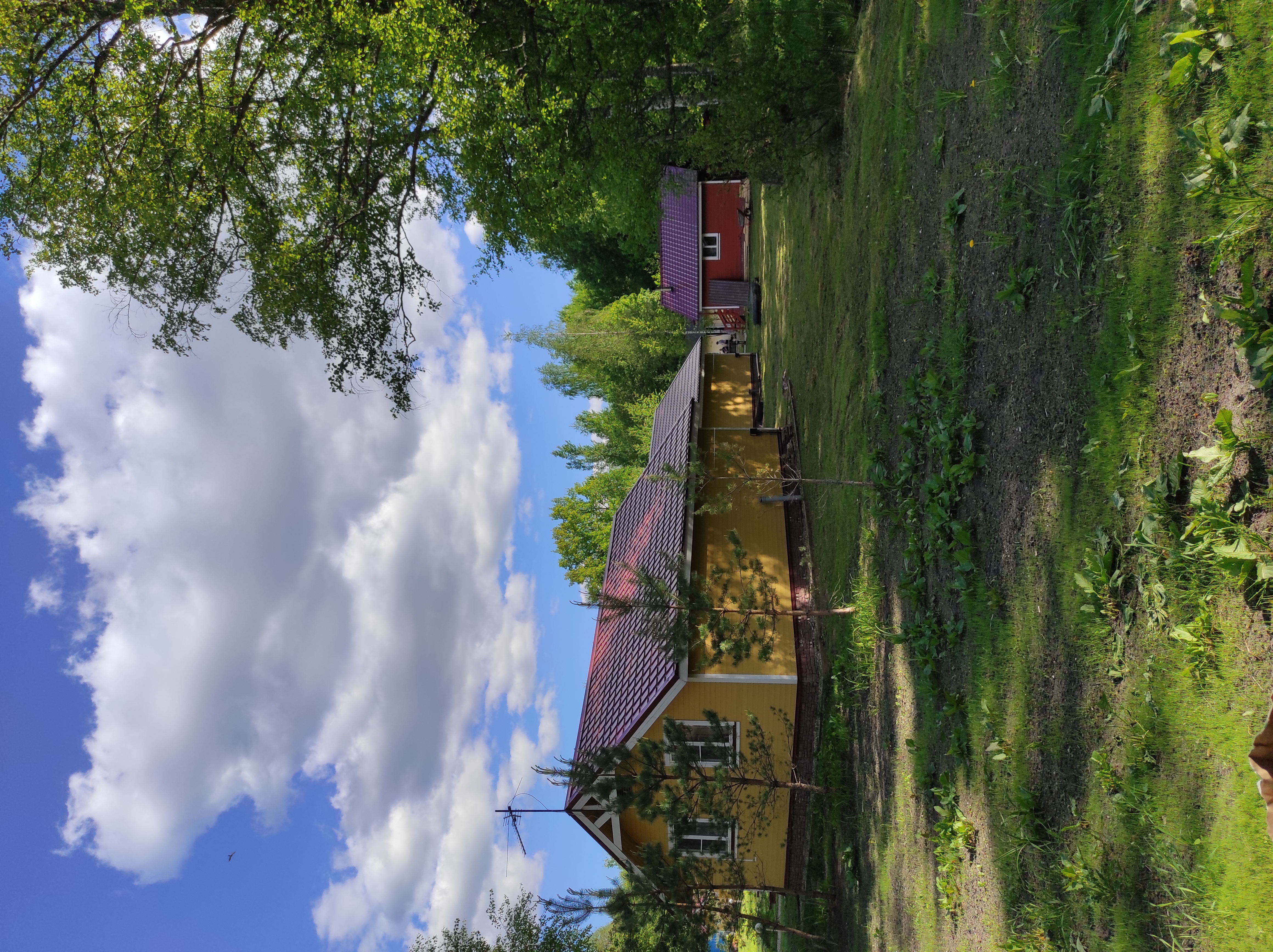 Фото Эко-Любимка