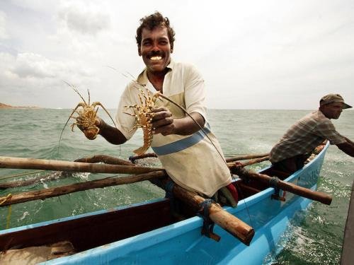 Фото Galle Star Hotel