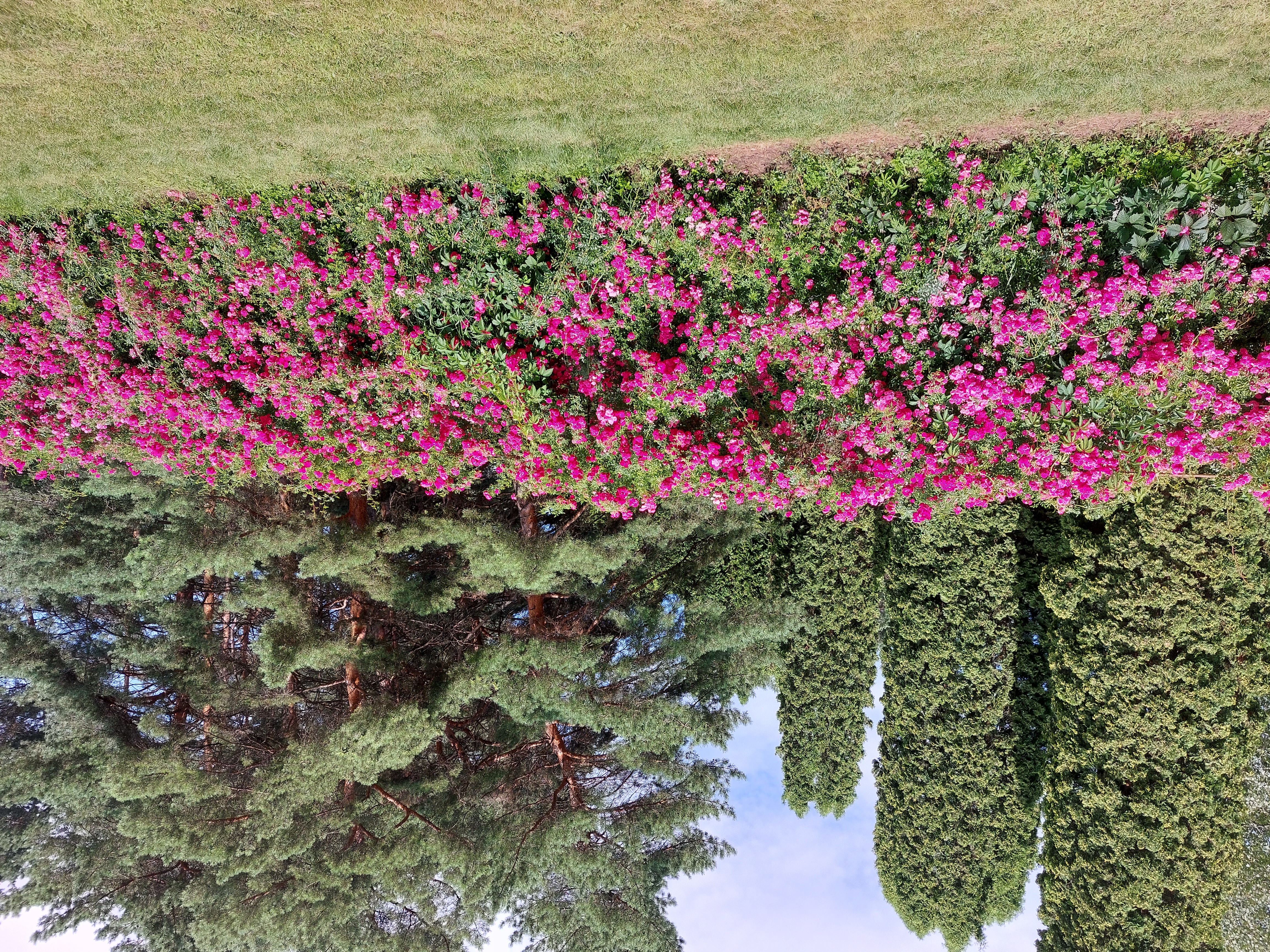 Фото Нарзан Вест