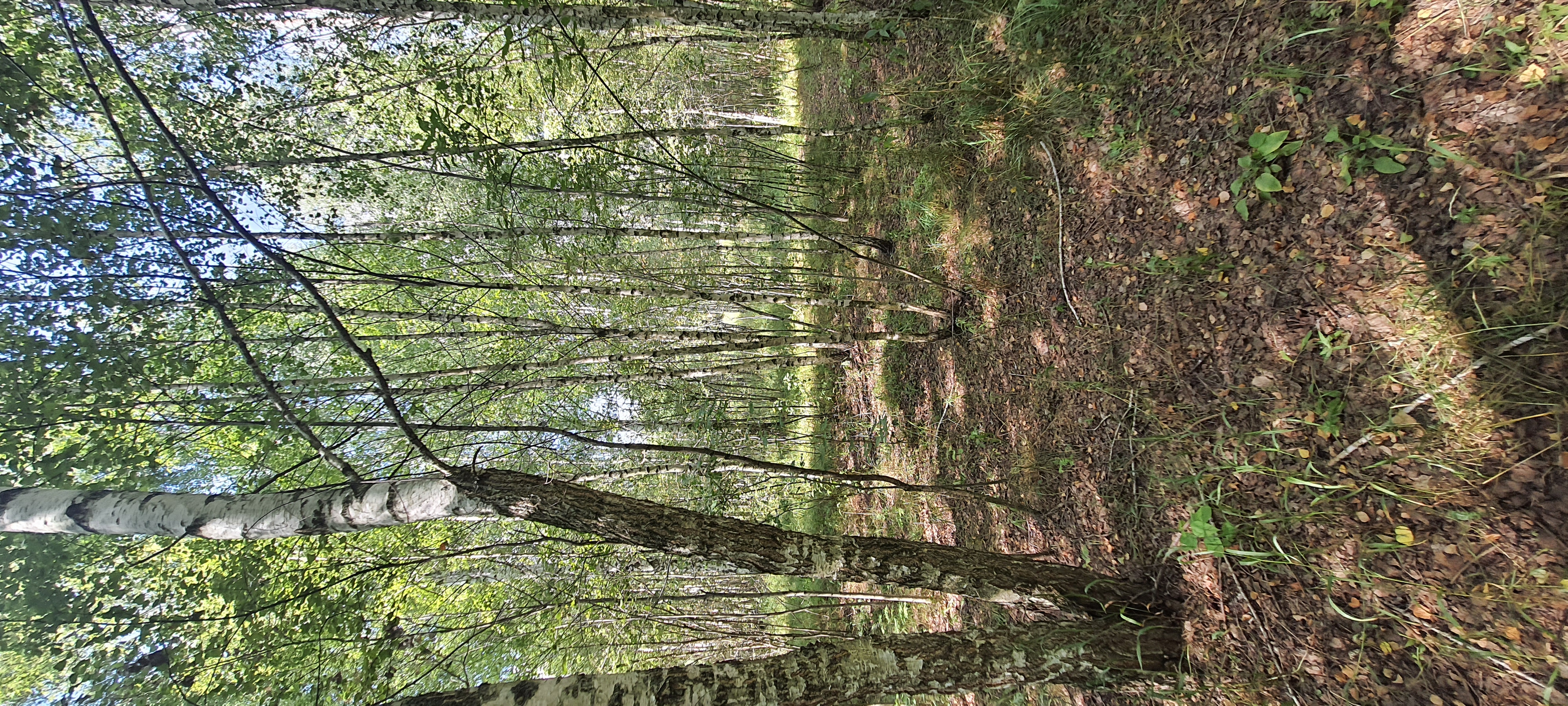 Фото Эко-горный