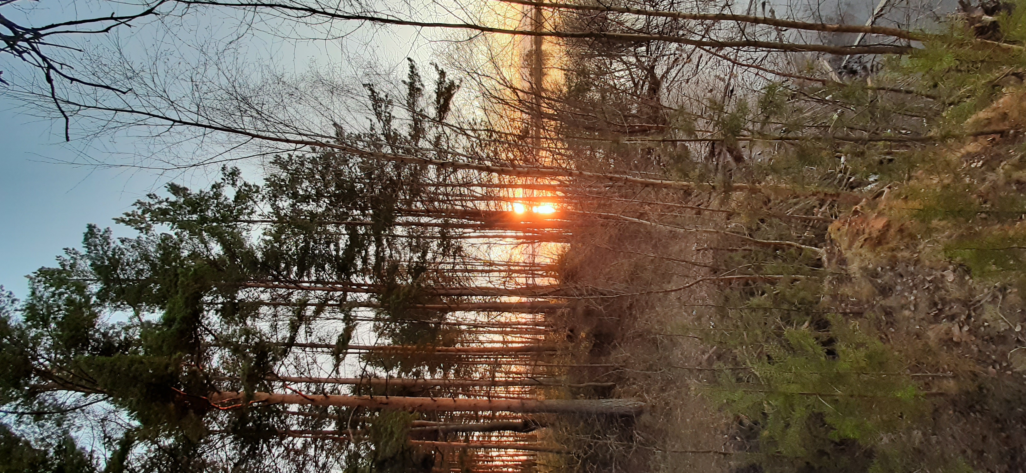 Фото Дом на Рыбинке